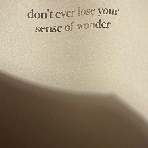 Victoria’s Secret Tote Bag with Makeup Case - Picture 5 of 7